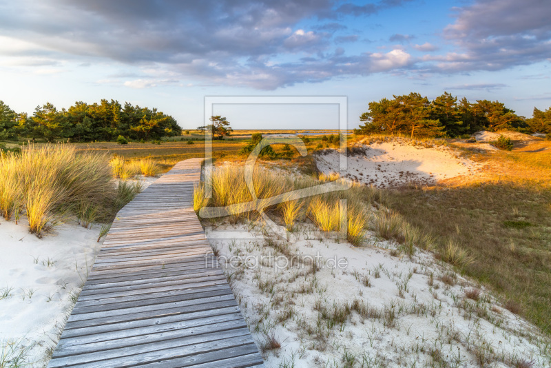 frei w&auml;hlbarer Bildausschnitt f&uuml;r Ihr Bild auf Tapete