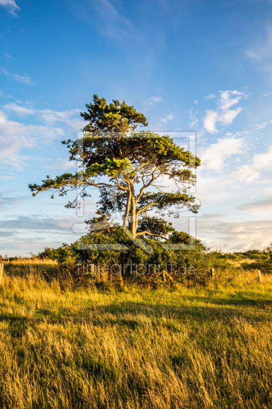 frei w&auml;hlbarer Bildausschnitt f&uuml;r Ihr Bild auf Tapete