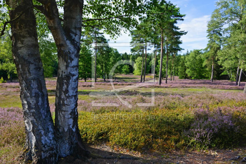 frei w&auml;hlbarer Bildausschnitt f&uuml;r Ihr Bild auf Tapete