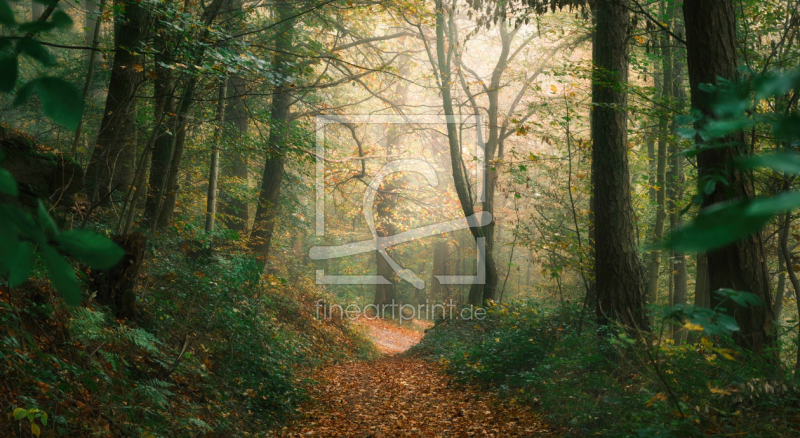 frei w&auml;hlbarer Bildausschnitt f&uuml;r Ihr Bild auf Tapete