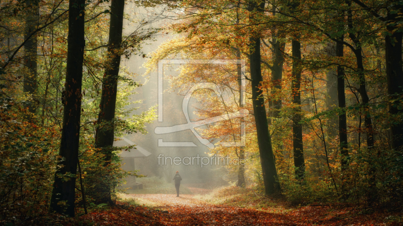 frei w&auml;hlbarer Bildausschnitt f&uuml;r Ihr Bild auf Tapete