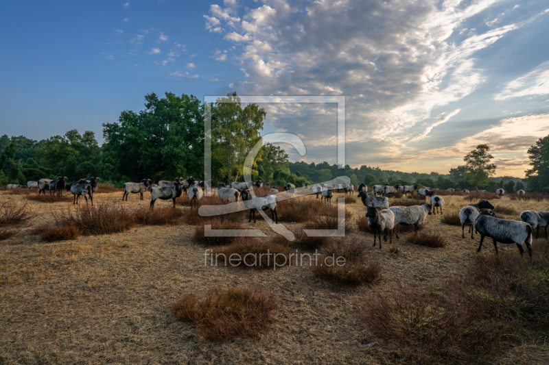 frei w&auml;hlbarer Bildausschnitt f&uuml;r Ihr Bild auf Tapete