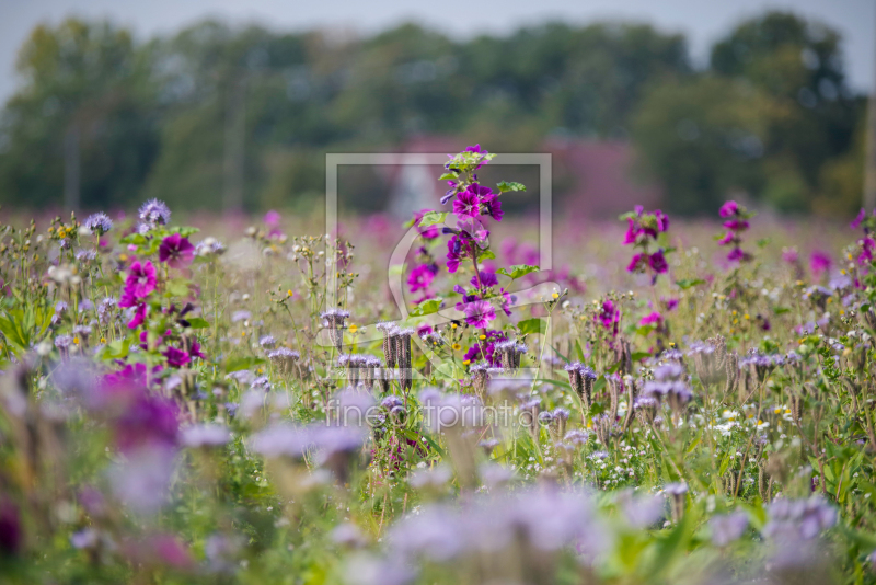 frei w&auml;hlbarer Bildausschnitt f&uuml;r Ihr Bild auf Tapete