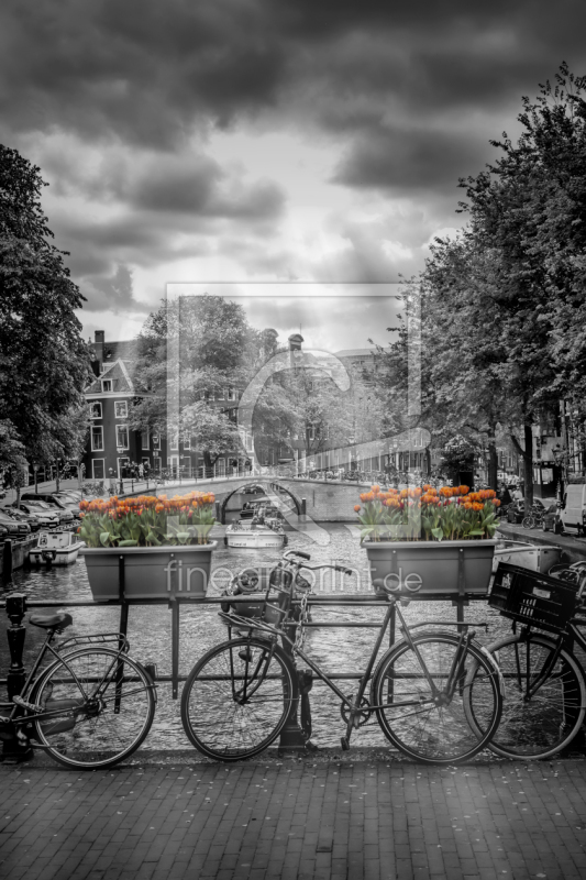 frei w&auml;hlbarer Bildausschnitt f&uuml;r Ihr Bild auf Tapete