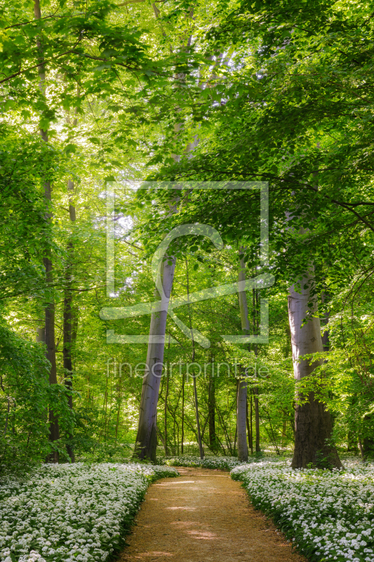 frei w&auml;hlbarer Bildausschnitt f&uuml;r Ihr Bild auf Tapete