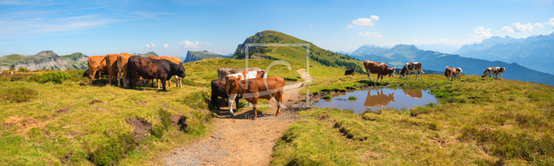 frei w&auml;hlbarer Bildausschnitt f&uuml;r Ihr Bild auf Tapete