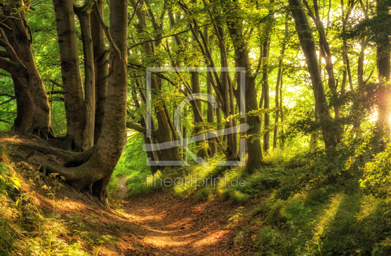 frei w&auml;hlbarer Bildausschnitt f&uuml;r Ihr Bild auf Tapete