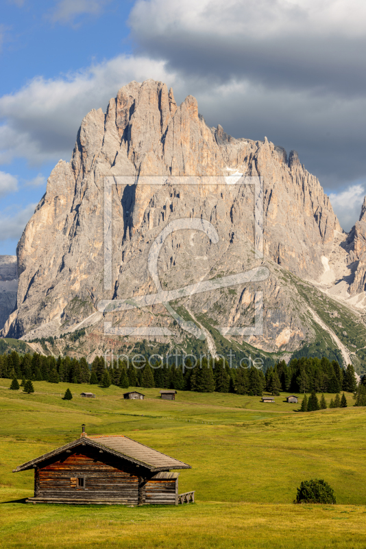 frei w&auml;hlbarer Bildausschnitt f&uuml;r Ihr Bild auf Tapete