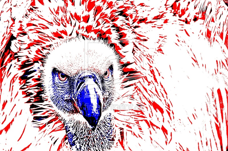 frei w&auml;hlbarer Bildausschnitt f&uuml;r Ihr Bild auf Tapete