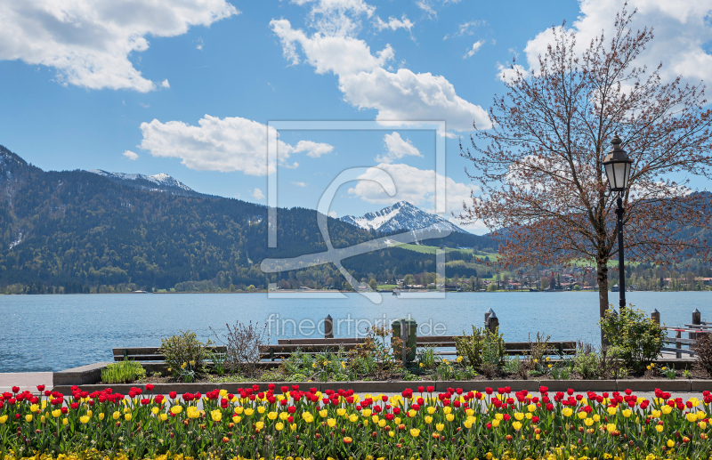 frei w&auml;hlbarer Bildausschnitt f&uuml;r Ihr Bild auf Tapete