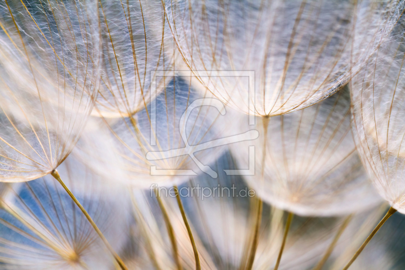 frei w&auml;hlbarer Bildausschnitt f&uuml;r Ihr Bild auf Tapete