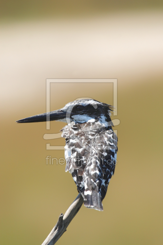 frei w&auml;hlbarer Bildausschnitt f&uuml;r Ihr Bild auf Tapete