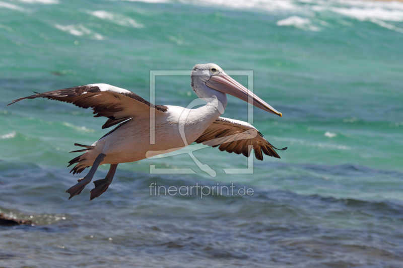 frei w&auml;hlbarer Bildausschnitt f&uuml;r Ihr Bild auf Tapete