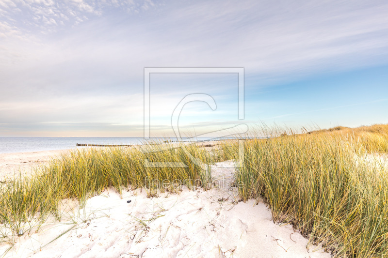 frei w&auml;hlbarer Bildausschnitt f&uuml;r Ihr Bild auf Tapete