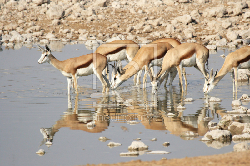 frei w&auml;hlbarer Bildausschnitt f&uuml;r Ihr Bild auf Tapete