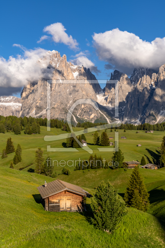 frei w&auml;hlbarer Bildausschnitt f&uuml;r Ihr Bild auf Tapete