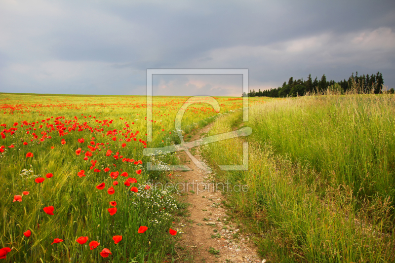 frei w&auml;hlbarer Bildausschnitt f&uuml;r Ihr Bild auf Tapete