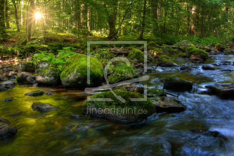 frei w&auml;hlbarer Bildausschnitt f&uuml;r Ihr Bild auf Tapete