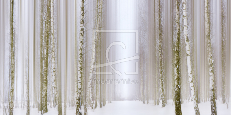 frei w&auml;hlbarer Bildausschnitt f&uuml;r Ihr Bild auf Tapete