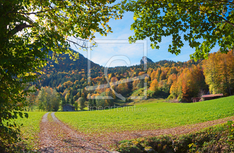 frei w&auml;hlbarer Bildausschnitt f&uuml;r Ihr Bild auf Tapete
