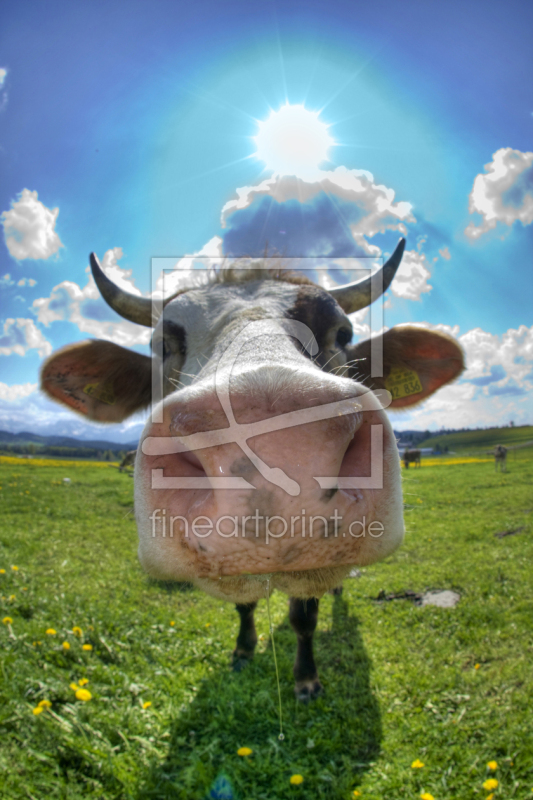 frei wählbarer Bildausschnitt für Ihr Bild auf Tapete
