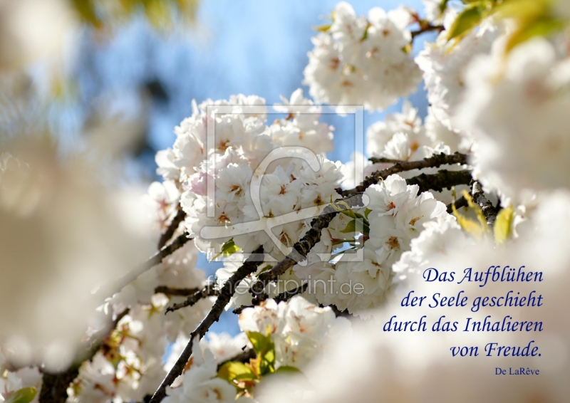 frei w&auml;hlbarer Bildausschnitt f&uuml;r Ihr Bild auf Tasse