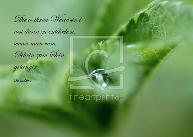 frei w&auml;hlbarer Bildausschnitt f&uuml;r Ihr Bild auf Tasse