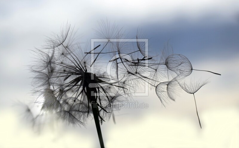 frei wählbarer Bildausschnitt für Ihr Bild auf Tasse