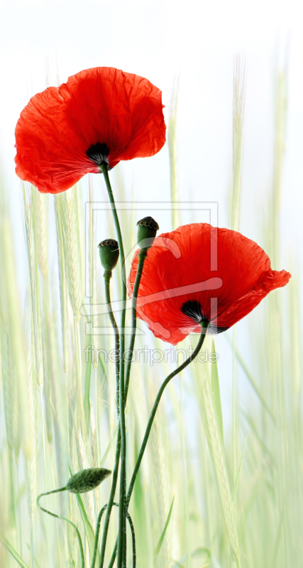 frei w&auml;hlbarer Bildausschnitt f&uuml;r Ihr Bild auf Tasse