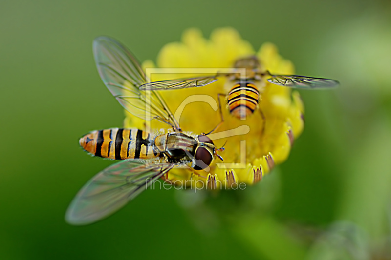 frei w&auml;hlbarer Bildausschnitt f&uuml;r Ihr Bild auf Tasse