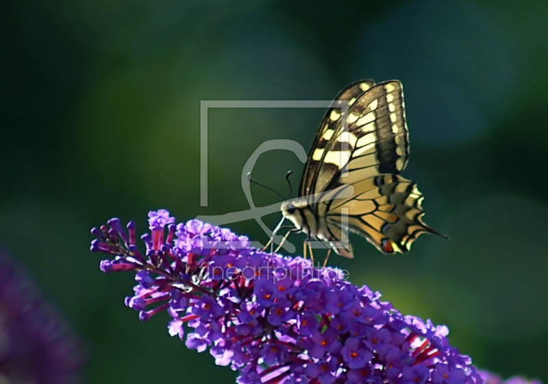 frei w&auml;hlbarer Bildausschnitt f&uuml;r Ihr Bild auf Tasse
