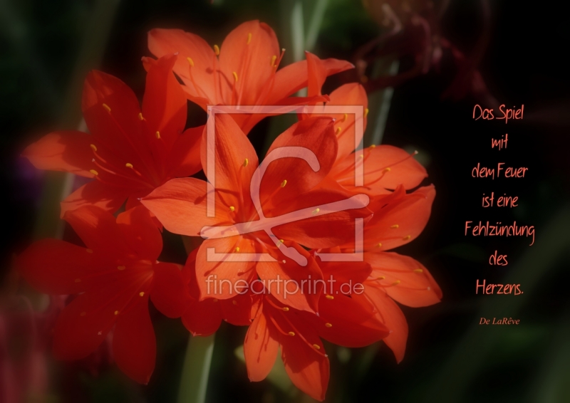 frei w&auml;hlbarer Bildausschnitt f&uuml;r Ihr Bild auf Tasse