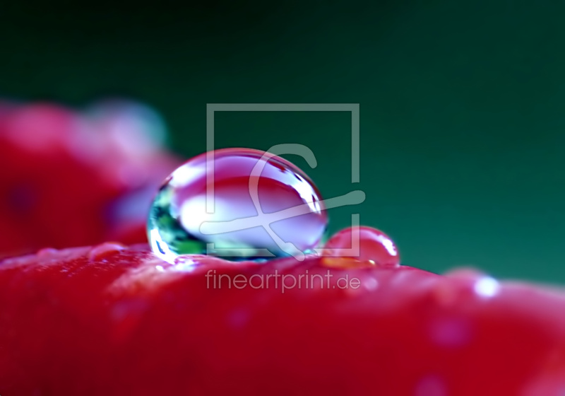 frei w&auml;hlbarer Bildausschnitt f&uuml;r Ihr Bild auf Tasse