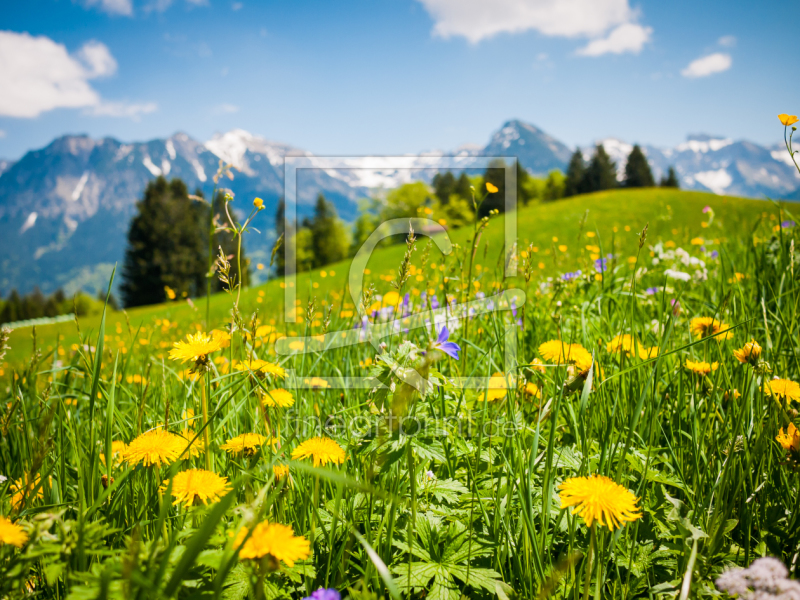 frei wählbarer Bildausschnitt für Ihr Bild auf Tasse
