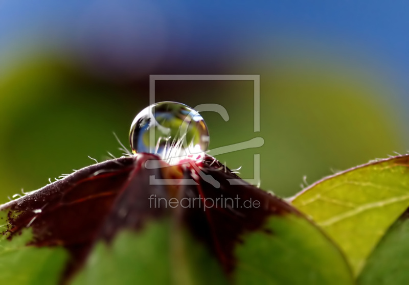 frei w&auml;hlbarer Bildausschnitt f&uuml;r Ihr Bild auf Tasse