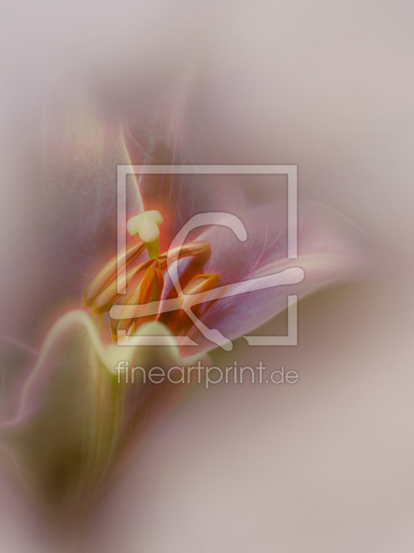 frei w&auml;hlbarer Bildausschnitt f&uuml;r Ihr Bild auf Tasse