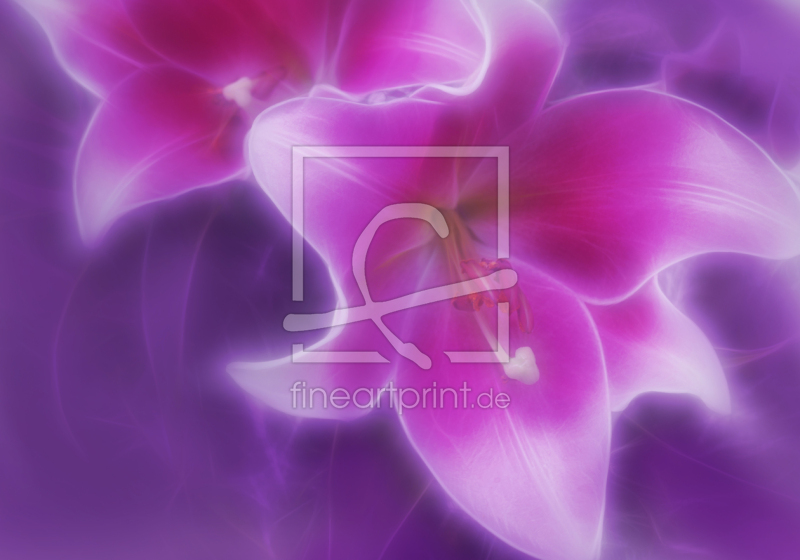 frei w&auml;hlbarer Bildausschnitt f&uuml;r Ihr Bild auf Tasse