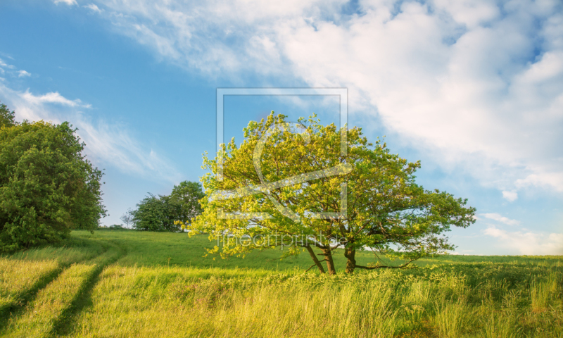 frei w&auml;hlbarer Bildausschnitt f&uuml;r Ihr Bild auf Tasse