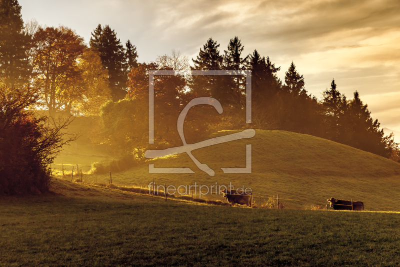 frei w&auml;hlbarer Bildausschnitt f&uuml;r Ihr Bild auf Tasse