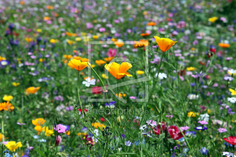 frei w&auml;hlbarer Bildausschnitt f&uuml;r Ihr Bild auf Tasse