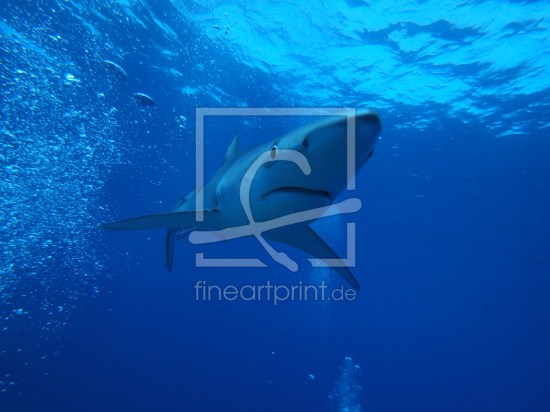 frei w&auml;hlbarer Bildausschnitt f&uuml;r Ihr Bild auf Tasse