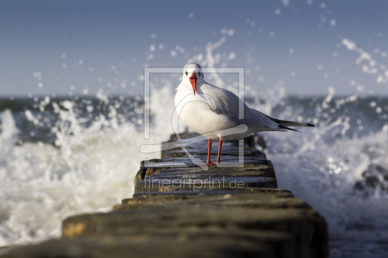 frei w&auml;hlbarer Bildausschnitt f&uuml;r Ihr Bild auf Tasse