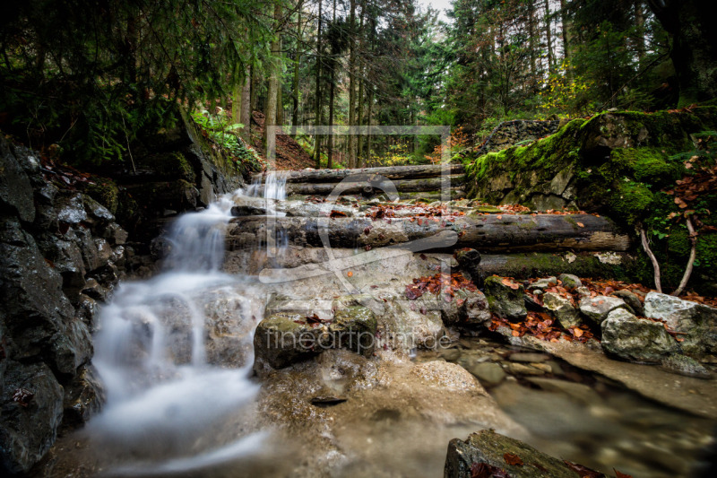 frei w&auml;hlbarer Bildausschnitt f&uuml;r Ihr Bild auf Tasse