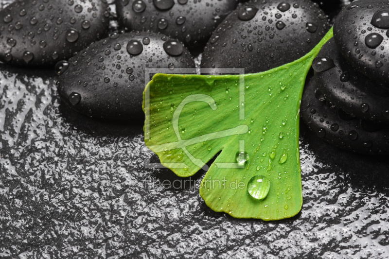 frei w&auml;hlbarer Bildausschnitt f&uuml;r Ihr Bild auf Tasse