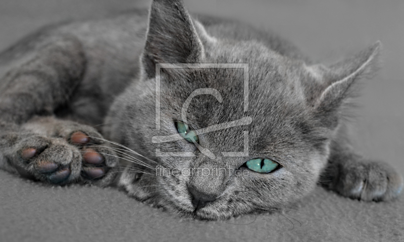 frei w&auml;hlbarer Bildausschnitt f&uuml;r Ihr Bild auf Tasse