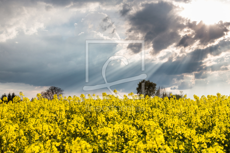 frei w&auml;hlbarer Bildausschnitt f&uuml;r Ihr Bild auf Tasse