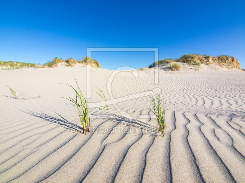 frei w&auml;hlbarer Bildausschnitt f&uuml;r Ihr Bild auf Tasse