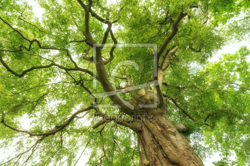 frei w&auml;hlbarer Bildausschnitt f&uuml;r Ihr Bild auf Tasse