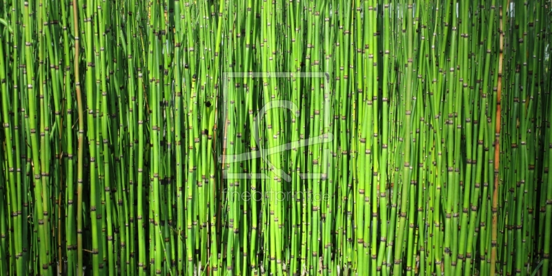 frei w&auml;hlbarer Bildausschnitt f&uuml;r Ihr Bild auf Tasse