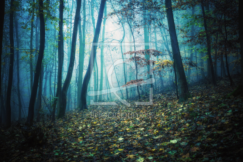 frei w&auml;hlbarer Bildausschnitt f&uuml;r Ihr Bild auf Tasse